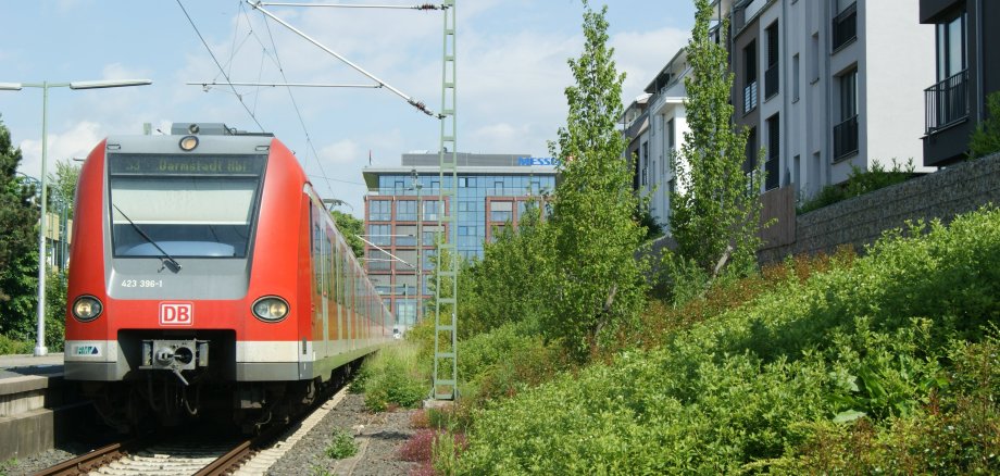 S-Bahn die in den Bad Sodener Bahnhof einfährt