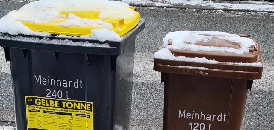 Zwei Mülltonnen, die im Schnee stehen.