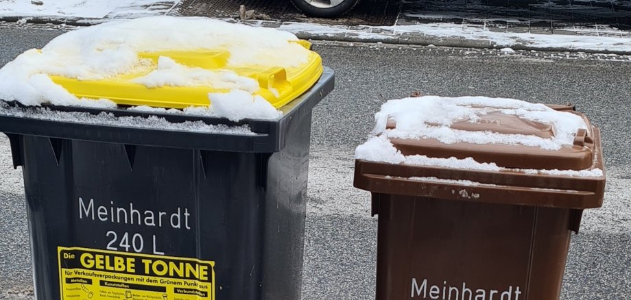 Zwei Mülltonnen, die im Schnee stehen.