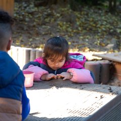 Das Bild zeigt spielende Kinder auf dem Außengelände der Kita Hübenbusch